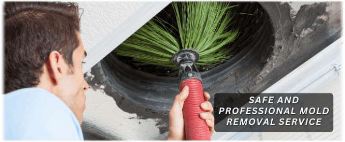 Air Duct Mold Removal in Hemet CA