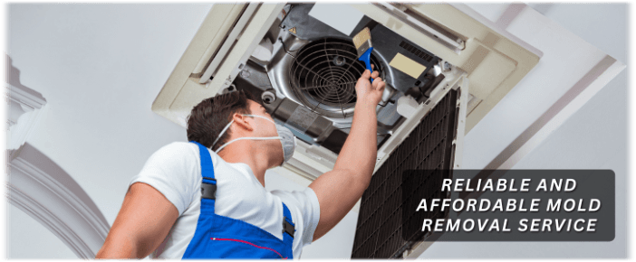 HVAC Mold Removal Hemet CA